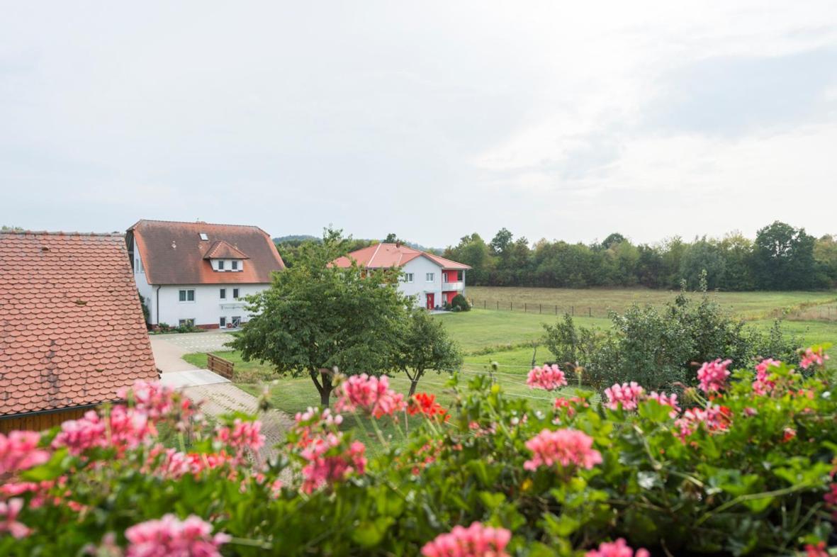 Gasthaus-Pension Hofmann Oberdachstetten Extérieur photo